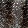 dress black dress size medium Bnwt baloot brand Image 8