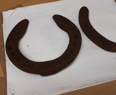 Horse shoes