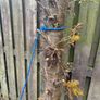 Free Firewood Image 3