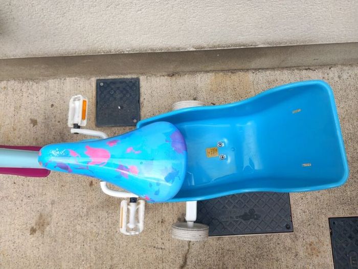 Kids frozen bike size 12 inch wheels.