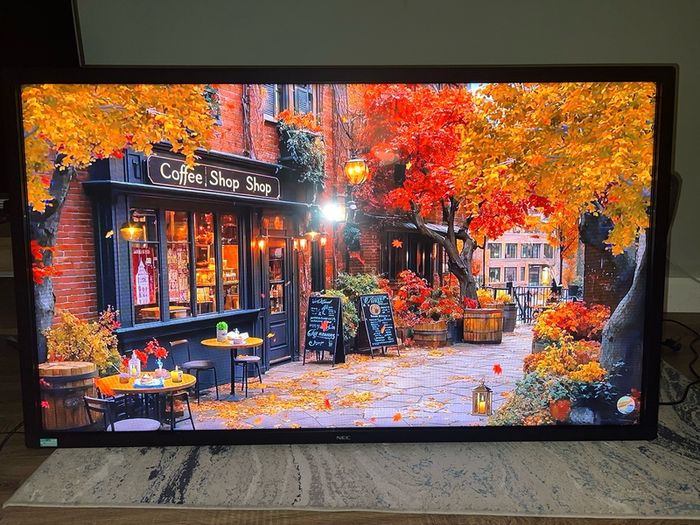 NEC E-651-T Touchscreen monitor