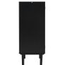 Black Rattan Cabinet Storage with 2 Magnetic Doors and Adjustable Shelves, Image 4