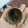 Brass bell dutch maiden Image 5