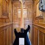 Squier Stratocaster 1993-94 Image 2
