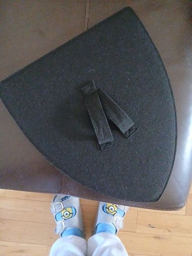 Lego foam shield