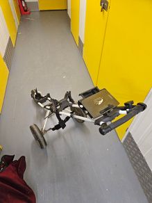 powacaddy trolley