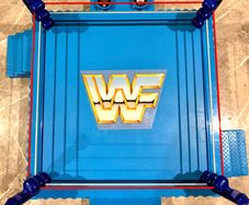 WWE Retro Hasbro wrestling ring mattel custom