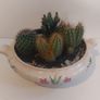 Lovely Arklow Pottery Tureen with Cacti Garden - A Fabulous Unique and Decorative Item for Display Indoors Image 8