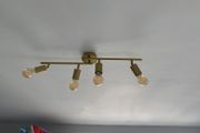 4-bulb Ceiling Light