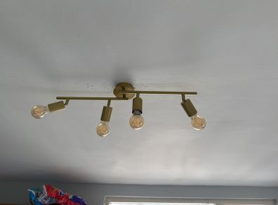 4-bulb Ceiling Light
