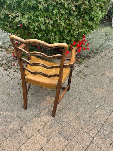 Dining Chairs