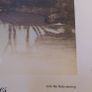 Lakeside trees / John MC Nulty Image 5