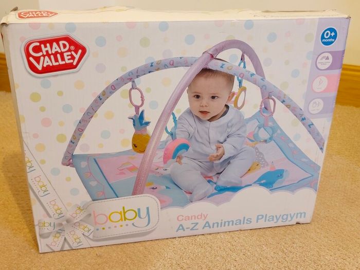 Baby play gym