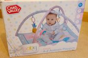 Baby play gym