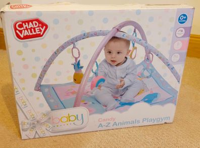 Baby play gym