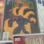 Black Panther (2005) lot Image 3