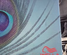Wella shade charts