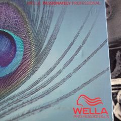 Wella shade charts