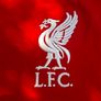Nike, Liverpool Football Club Jersey Image 4