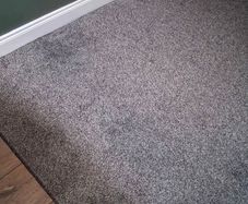 charcoal rug 200 x290