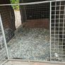 dog cage Image 3