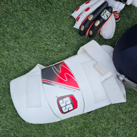 cricket set