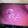 Dell P2419H 24 inch Full High Definition IPS LED Monitor Black Image 7