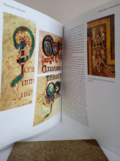The Book of Kells: An Illustrated Introduction to the Manuscript in Trinity College Dublin by Bernard Meehan (PT241)