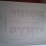 Eta Cohens Violin Method Pleliminary Book Starting Right Image 2