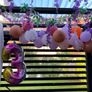 free party balloons, accessories Image 3