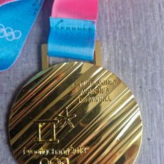 Winter Olympics Gold Medal 2018