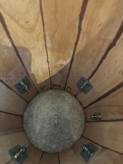 LP jnr Congas (conguitas)