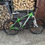 Bianchi Jab hardtail Image 2