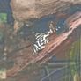 fish tank Image 7