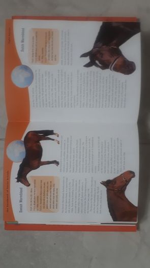 The Handbook of Horse Breeds
