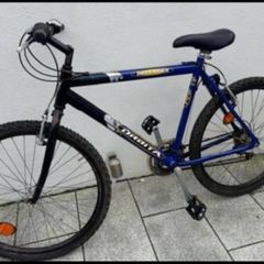 Junior boys bike 26T