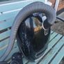 Free Hoover Image 3