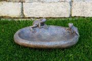 Bird Feeder D9461