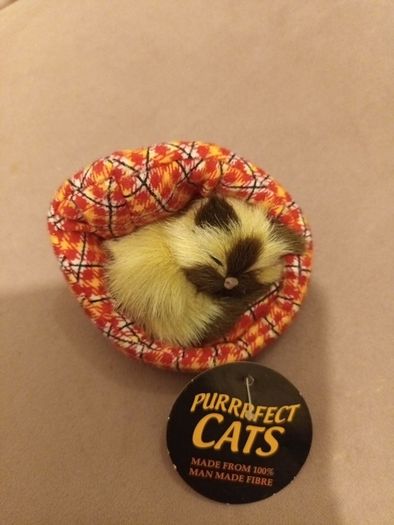 Cat decor for the cat lover