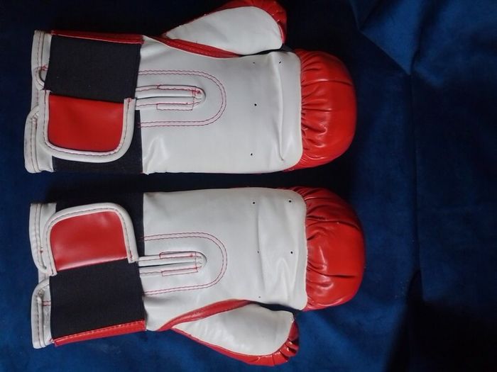 Autographed Kevin McBride Signed Everlast Boxing Gloves (Pair)