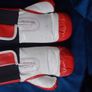 Autographed Kevin McBride Signed Everlast Boxing Gloves (Pair) Image 9