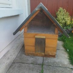 Dog kennel