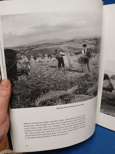 Western Ways, Mayo interest