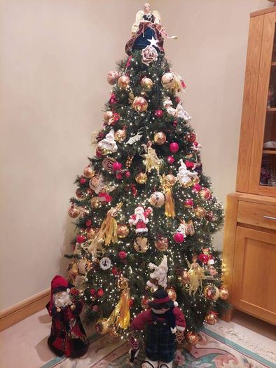 8' Nebraska Christmas Tree