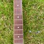 Harley benton guitar Image 5