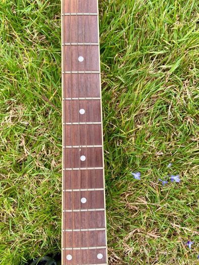 Harley benton guitar