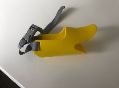 dog muzzle