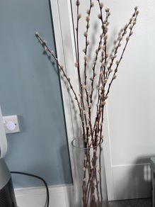 Large cylinder vase