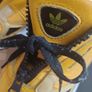 Adidas Image 5