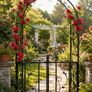 Rose arch Gate Decorative Metal Garden Trellis Image 2